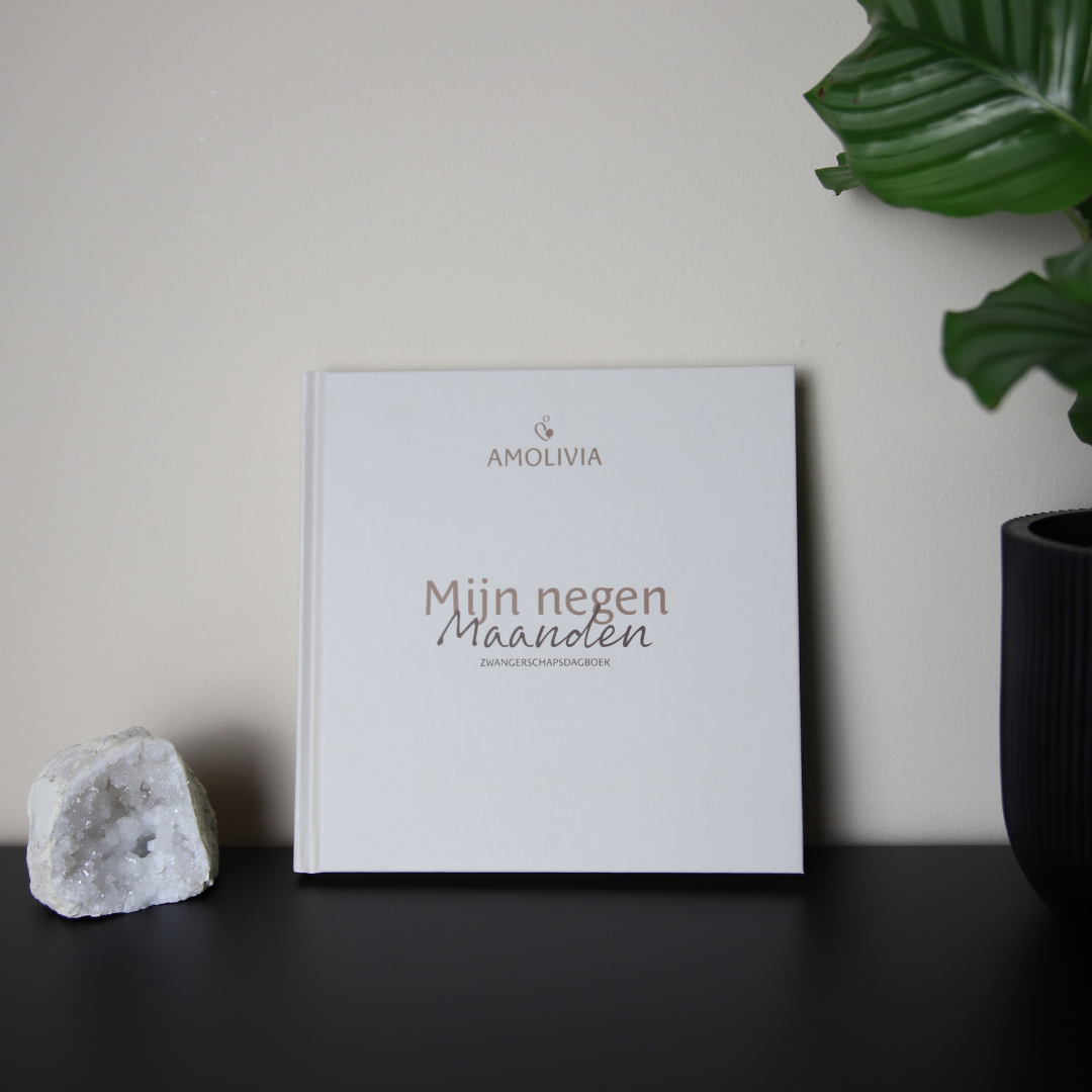 Zwangerschapsdagboek Sfeerfoto