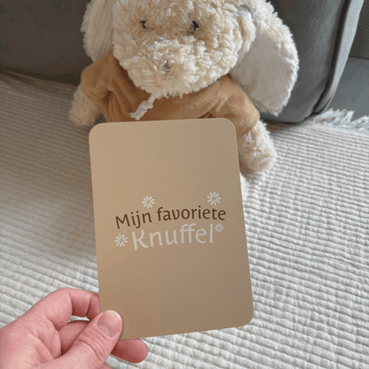 Mijn Eerste Jaar Mijlpaalkaarten