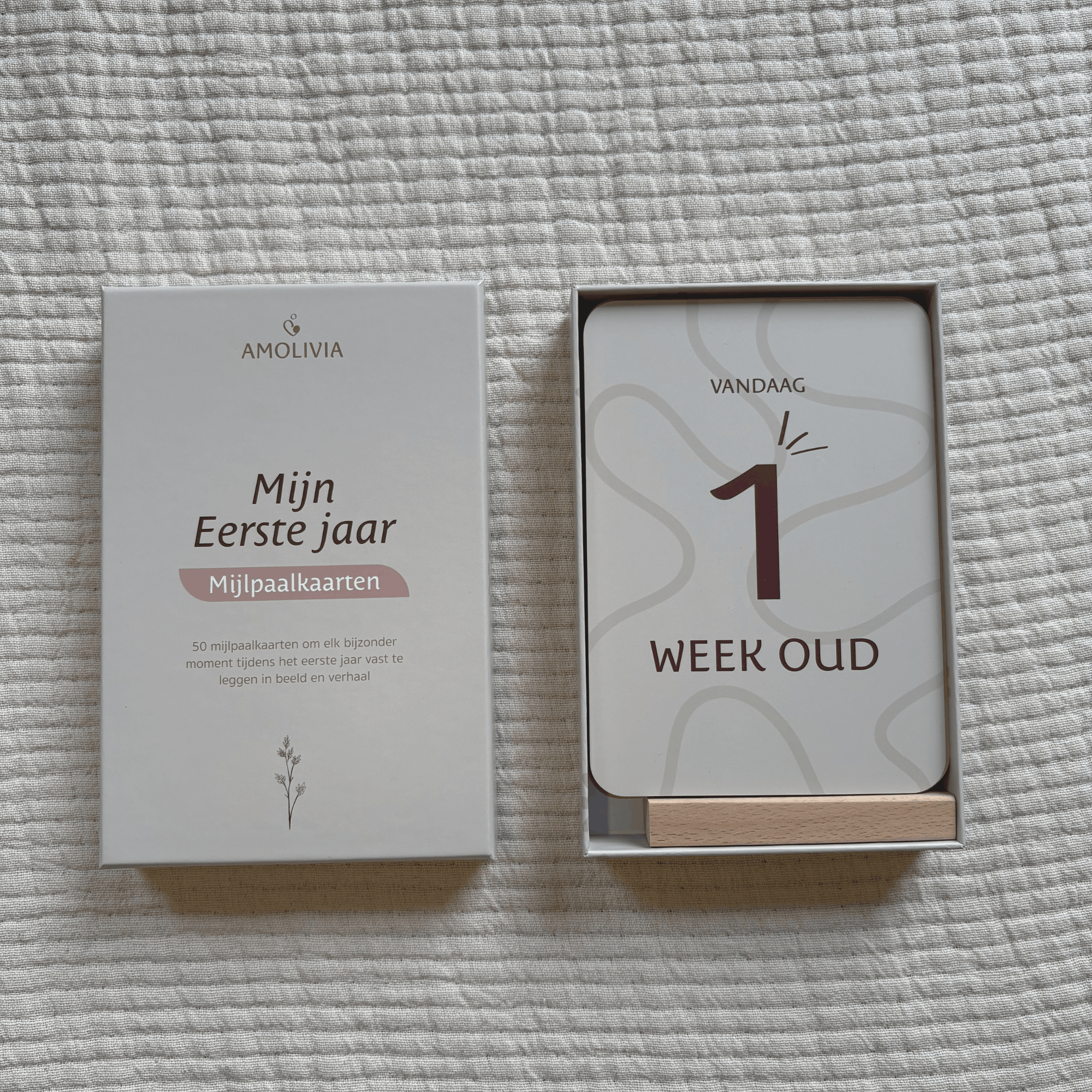 My First Year Milestone Cards