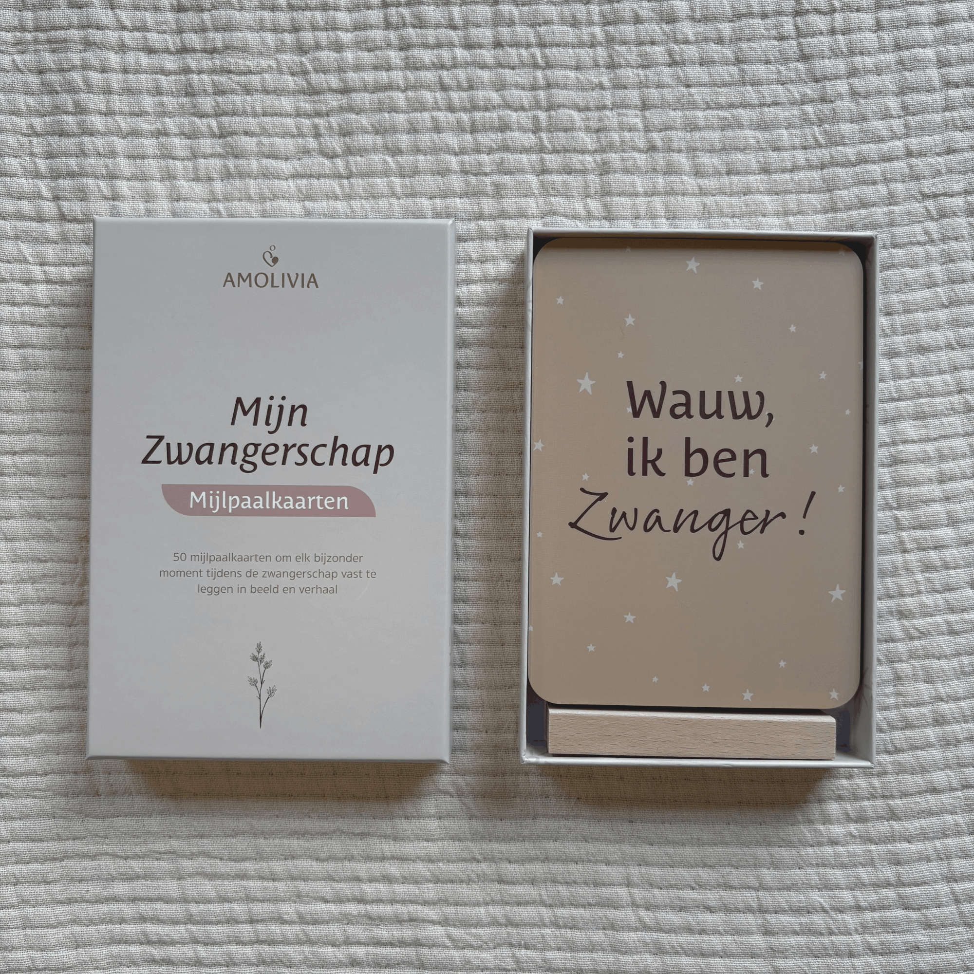 My Pregnancy Milestone Cards