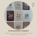 My Pregnancy Milestone Cards