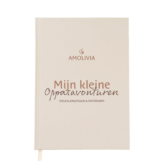 Mijn Kleine Oppasavonturen - Oppasboek