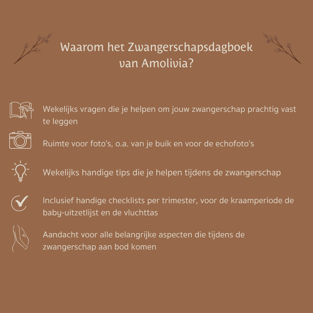 Mijn 9 Maanden Zwangerschapsdagboek