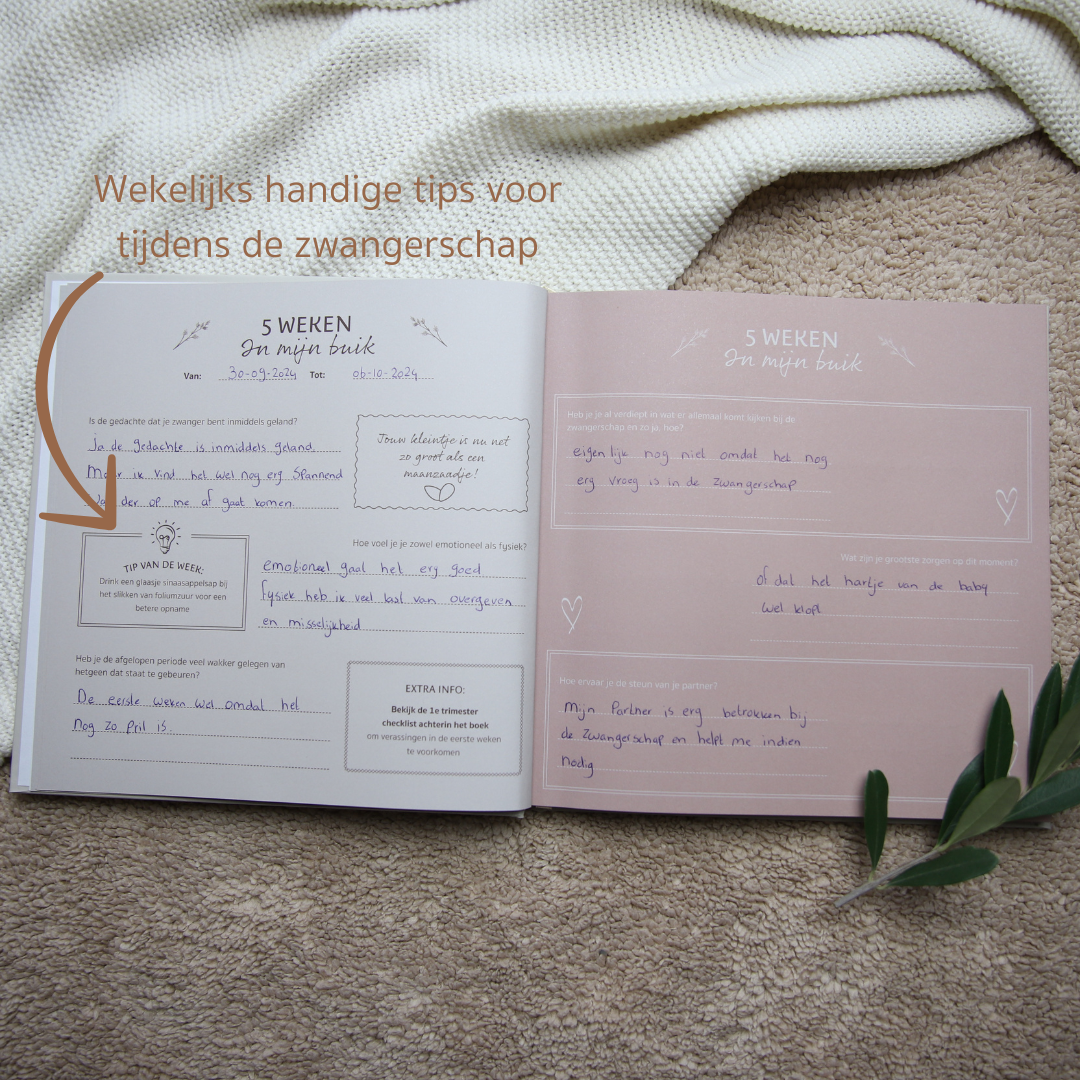 Mijn 9 Maanden Zwangerschapsdagboek