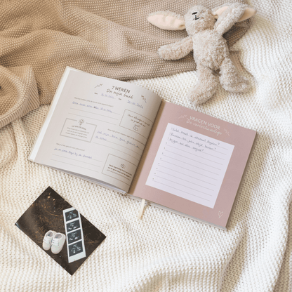 Mijn 9 Maanden Zwangerschapsdagboek