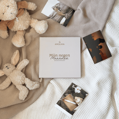 Mijn 9 Maanden Zwangerschapsdagboek