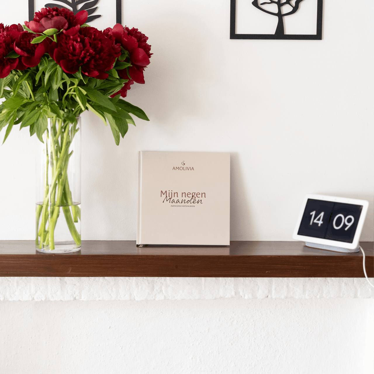 Mijn 9 Maanden Zwangerschapsdagboek