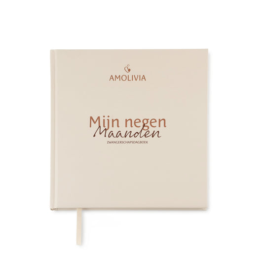 Mijn 9 Maanden Zwangerschapsdagboek